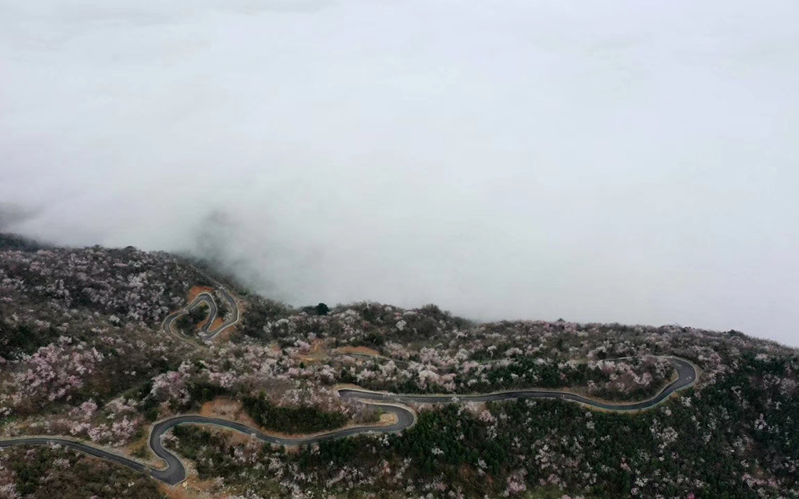 恒峰国际官网 - 天天有惊喜！