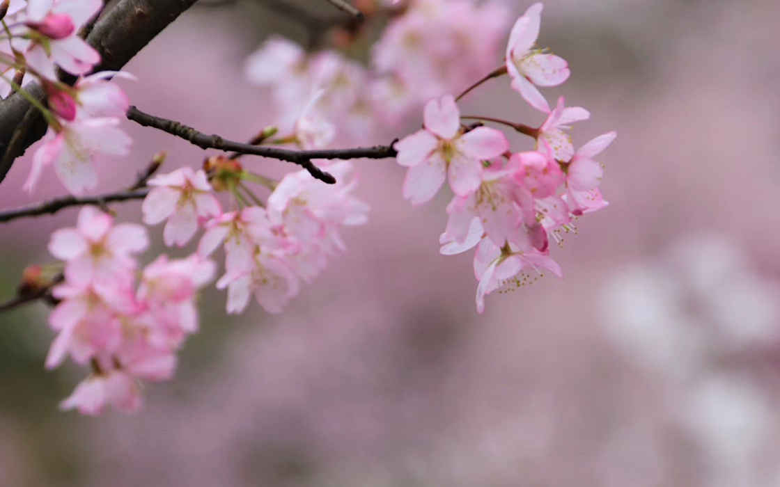 恒峰国际官网 - 天天有惊喜！