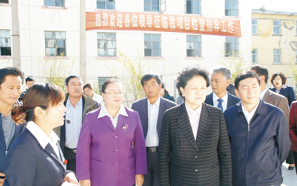 时任中央政治局委员，，国务院副总理、党组成员刘延东视察湖北恒峰g22集团青海项目部