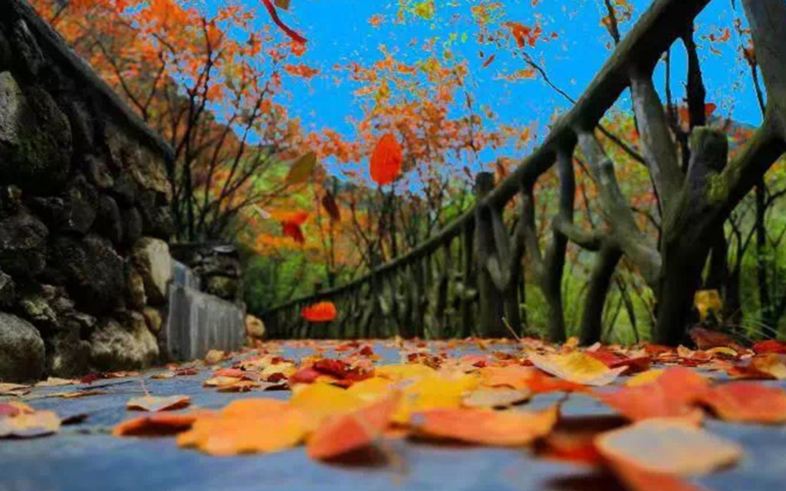 恒峰国际官网 - 天天有惊喜！