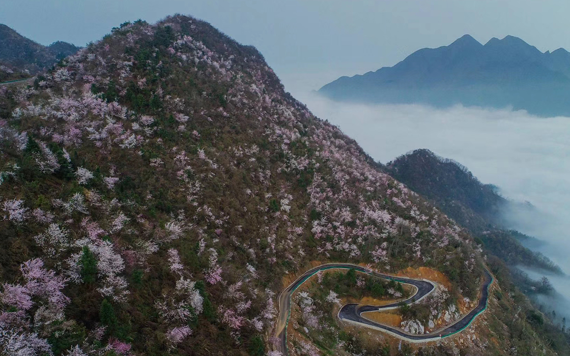 恒峰国际官网 - 天天有惊喜！