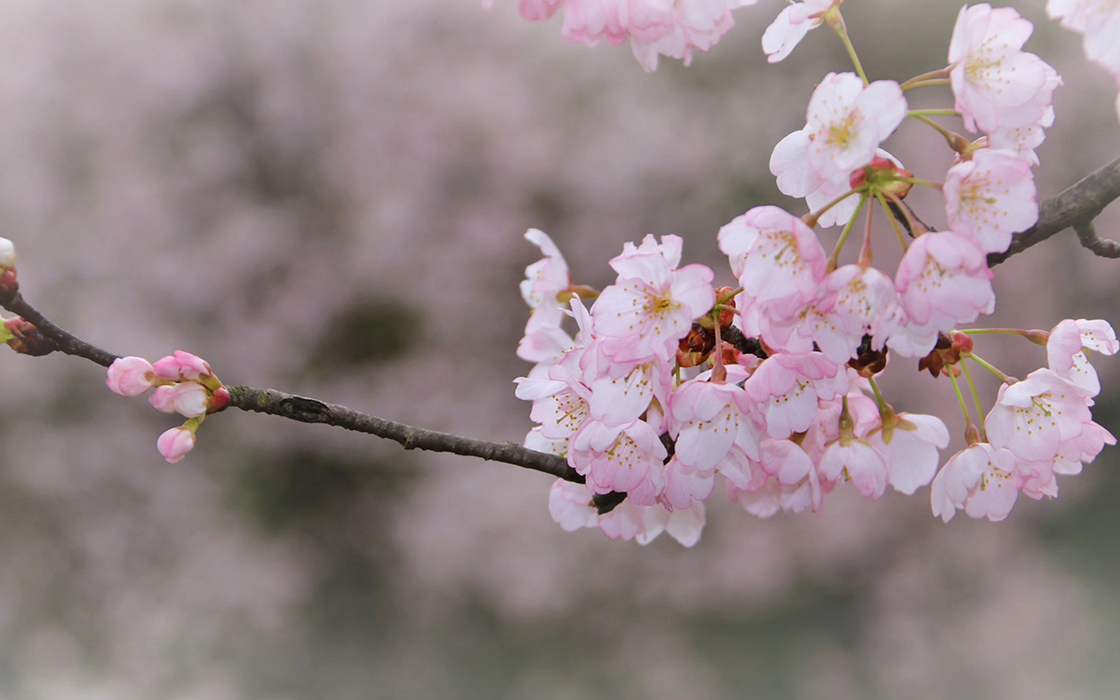 恒峰国际官网 - 天天有惊喜！