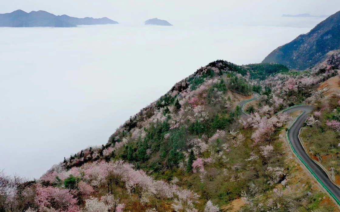 恒峰国际官网 - 天天有惊喜！