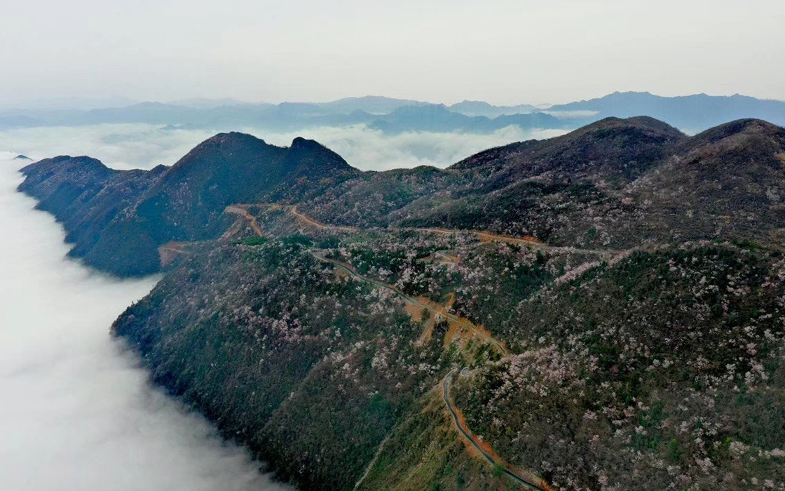 恒峰国际官网 - 天天有惊喜！