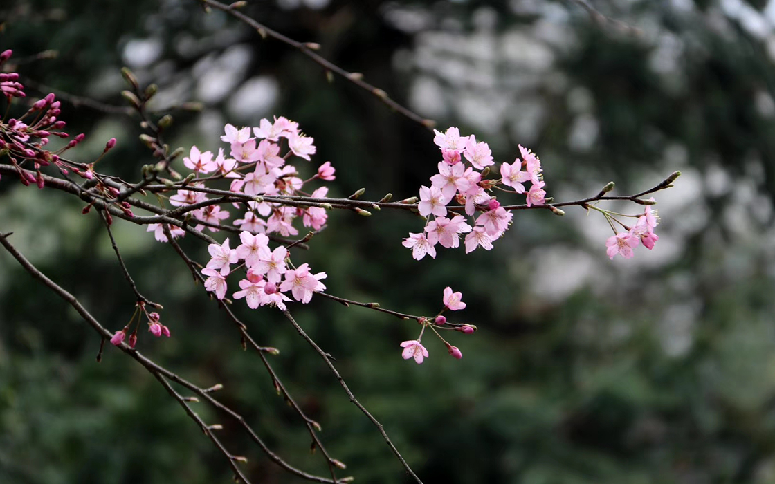 恒峰国际官网 - 天天有惊喜！