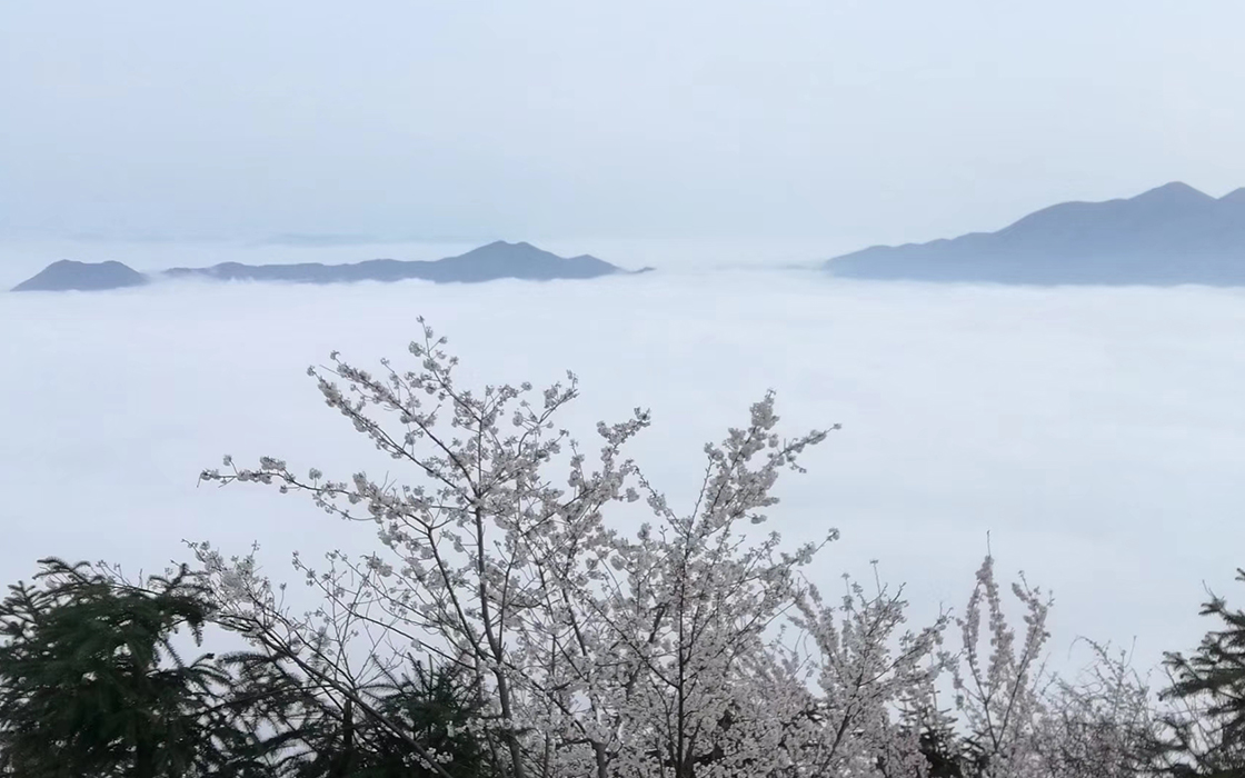 恒峰国际官网 - 天天有惊喜！