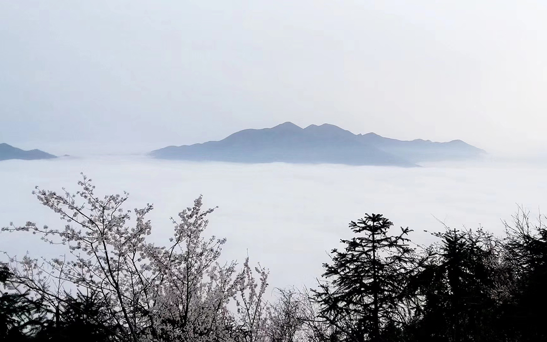 恒峰国际官网 - 天天有惊喜！