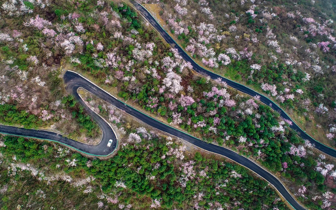 恒峰国际官网 - 天天有惊喜！