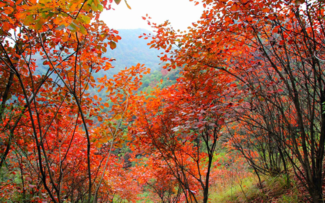 恒峰国际官网 - 天天有惊喜！