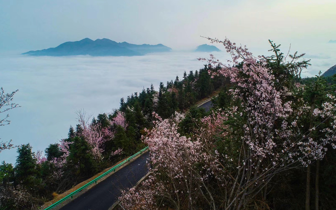 恒峰国际官网 - 天天有惊喜！